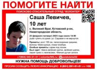 Волонтеры возобновили поиски 10-летнего мальчика в Кстовском районе 