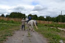 Лошадь до смерти забила коневода копытами в Починковском районе 