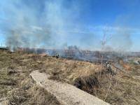 Два пала травы произошли в Новинском сельсовете 9 апреля 