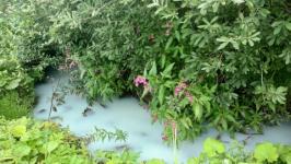 Неизвестные химикаты вылили в речку в Нижегородской области 