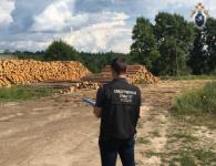 Рабочий погиб при обрушении досок на лесопилке в Нижегородской области  