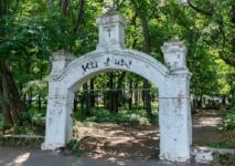 Приостановлена закупка на благоустройство бывшего кладбища на Родионова в Нижнем Новгороде 