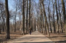 Сильное похолодание придет в Нижегородскую область 20 марта 