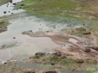 Уровень воды в Ефимьевском пруду понизился из-за работ по очистке 