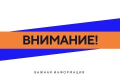 Два мальчика не вернулись с прогулки на Бору 