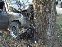 Нижегородский водитель пострадал, врезавшись на автомобиле в дерево 