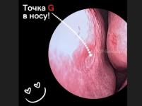 Нижегородский ЛОР-хирург Белозёров показал «точку G» в носу 