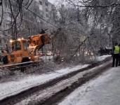 Свыше 70 деревьев упали в Нижнем Новгороде из-за ледяного дождя 