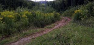 Заблудившийся в лесу нижегородский водитель умер в больнице 