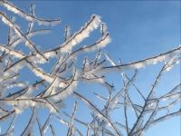 Похолодание и снег ожидаются в Нижегородской области в конце марта
 