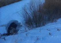 Нижегородец рассказал, как спас одного из троих провалившихся под лёд детей 