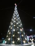 Установка новогодней ёлки в Нижнем Новгороде может обойтись в 3,6 млн рублей 