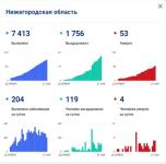 Нижегородская область прочно встала в топ-4 рейтинга COVID-регионов 