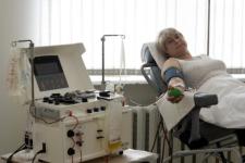 Сдача крови для Национального регистра доноров костного мозга пройдет в Нижнем Новгороде 