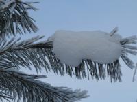 Небольшой снег ожидает нижегородцев в предстоящие выходные 