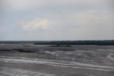 Волгу в Нижнем Новгороде загрязняют мазутом 