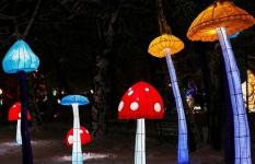 Парк имени Свердлова в Нижнем Новгороде украсят световые инсталляции 