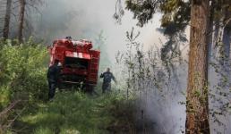 Лесной пожар полыхает в 25 км от границы Керженского заповедника  
