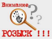 Ушедшего с дачи пожилого жителя Нижегородской области нашли в городе Бор 