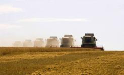 Нижегородские аграрии уже побили прошлогодний рекорд по уборке зерновых 