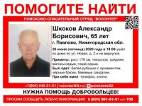 65-летний Александр Шкоков пропал в Нижегородской области 