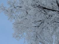 До 33 градусов мороза опустится температура 7-9 января в Нижегородской области 