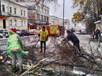 Ураганный ветер повалил более 200 деревьев в Нижнем Новгороде 