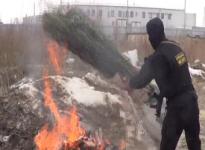 Более 25 кг наркотиков уничтожили нижегородские наркополицейские  