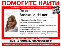 11-летняя Лена Васекина пропала в Нижегородской области  