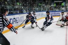 Нижегородская "Чайка" откроет хоккейный сезон в Нижнем Новгороде 15 сентября 