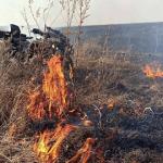 Крупный пожар бушевал рядом с птицефабрикой «Ворсменская» 