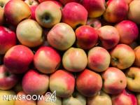 Цены на капусту, яблоки и лук снизились в Нижегородской области за неделю 