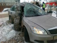 «Шкода» врезалась в дерево в Нижегородской области 7 декабря 