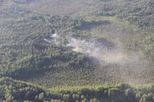 В Керженском заповеднике потушили низовой пожар 