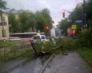 Дерево упало на проезжую часть в центре Нижнего Новгорода 