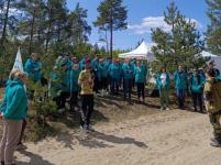 Благотворительный фонд «Поколение АШАН» продолжает восстановление лесной экосистемы Нижегородской области 