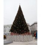 Более 70 елок установят в Нижнем Новгороде к Новому году 