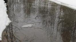 Провалившегося под лед мужчину спасли в Нижнем Новгороде 29 ноября    
