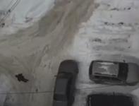Опубликовано видео поджога автомобиля у дома в Верхних Печерах 