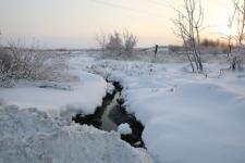 Свалку ТБО в селе Гагино рекультивируют по решению суда 