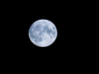 Опубликованы снимки «голубой» Луны над Нижним Новгородом  