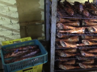 Бизнесмена из Заволжья уличили в незаконной ловле более 700 кг рыбы 