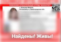 Найдена пропавшая в Нижегородской области женщина с двумя детьми 