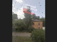 Рой пчел окружил жилой дом в Нижнем Новгороде 