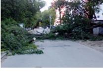 Упавшее дерево полностью перекрыло улицу Мануфактурную 