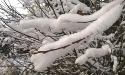 Похолодание до -3°С и снегопад ожидаются в Нижнем Новгороде 31 декабря  