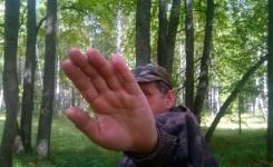 Нижегородские предприниматели наказаны за загрязнение леса 