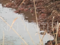 Нижегородское минэкологии обследует засыпанное грунтом Вадское озеро 