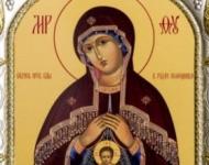 Икона Божией Матери «Помощница в родах» прибудет в Спасо-Преображенский собор Нижнего Новгорода 20 декабря 