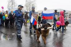 Завод в Выксе заменит служебных собак системой видеонаблюдения 